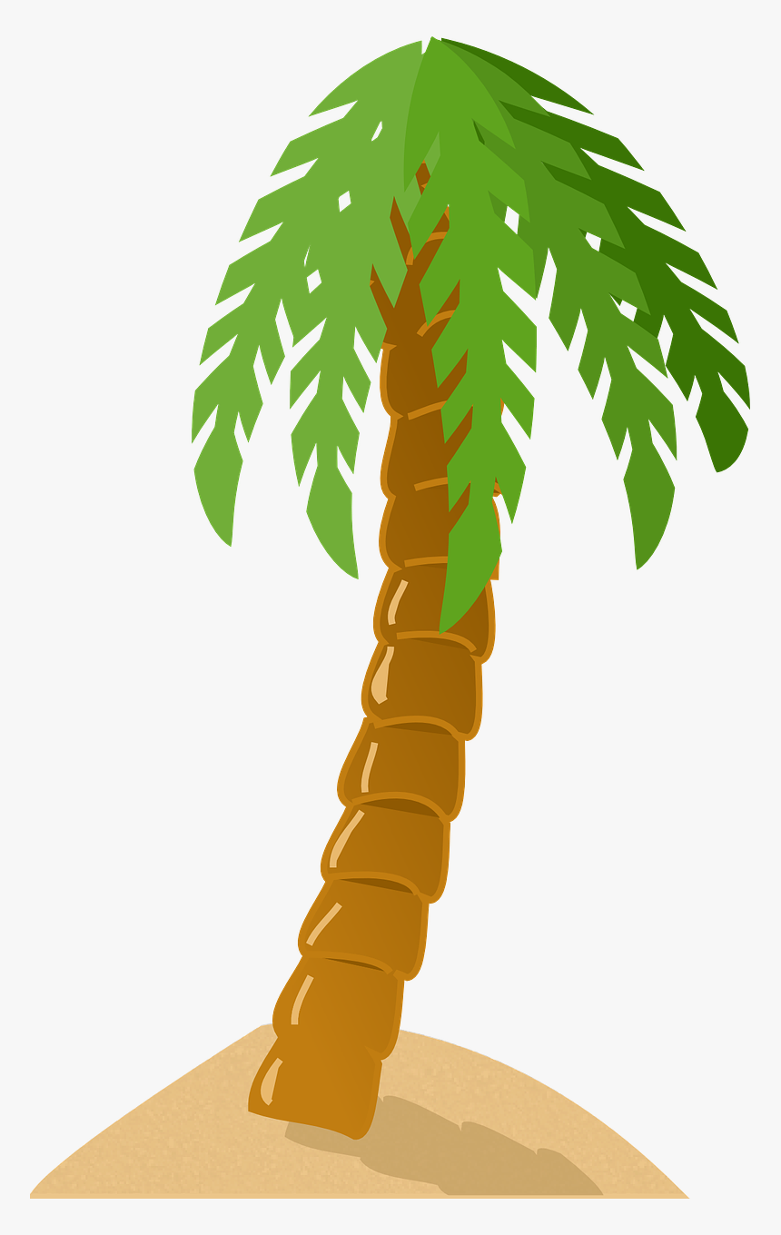 Palm Tree Clip Art, HD Png Download, Free Download