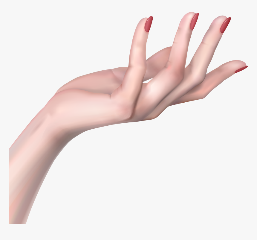 Transparent Bloody Hands Png - Woman Hand Png, Png Download, Free Download