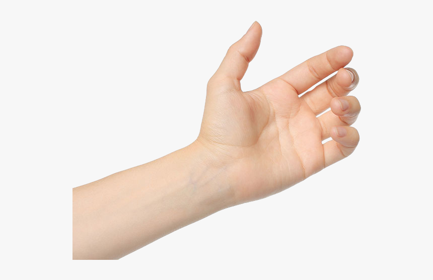 Wrist-image - Hand Curled, HD Png Download, Free Download