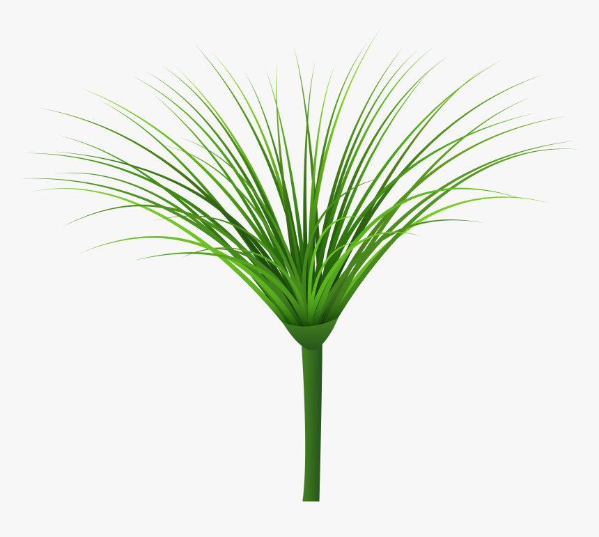 Green Leaf Png Clip, Transparent Png, Free Download