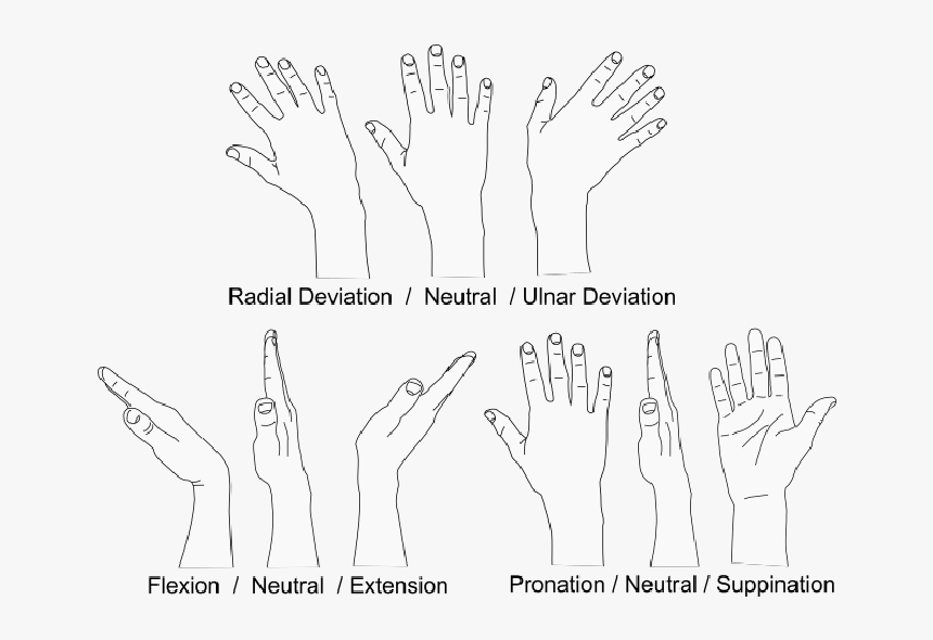 Hands Degrees Of Freedom, HD Png Download, Free Download