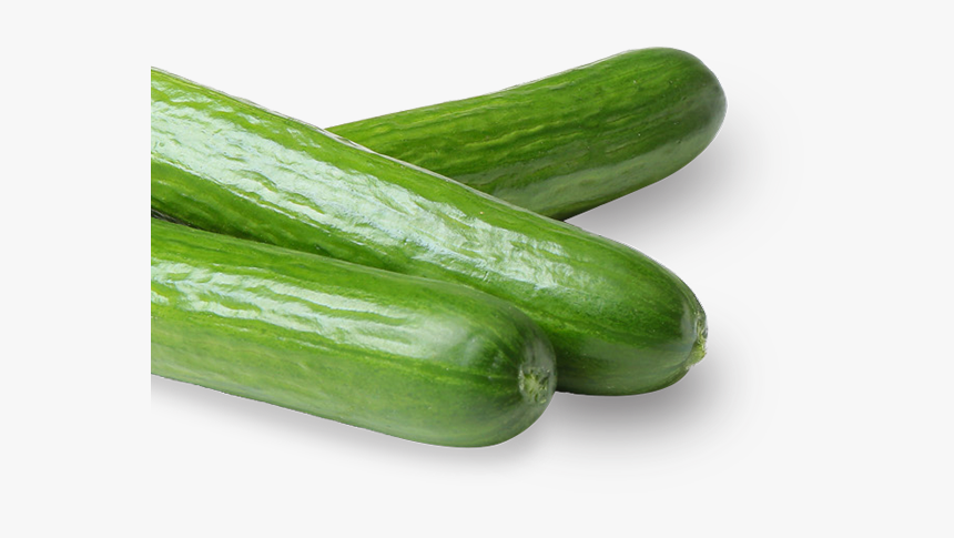 Cucumber, HD Png Download, Free Download