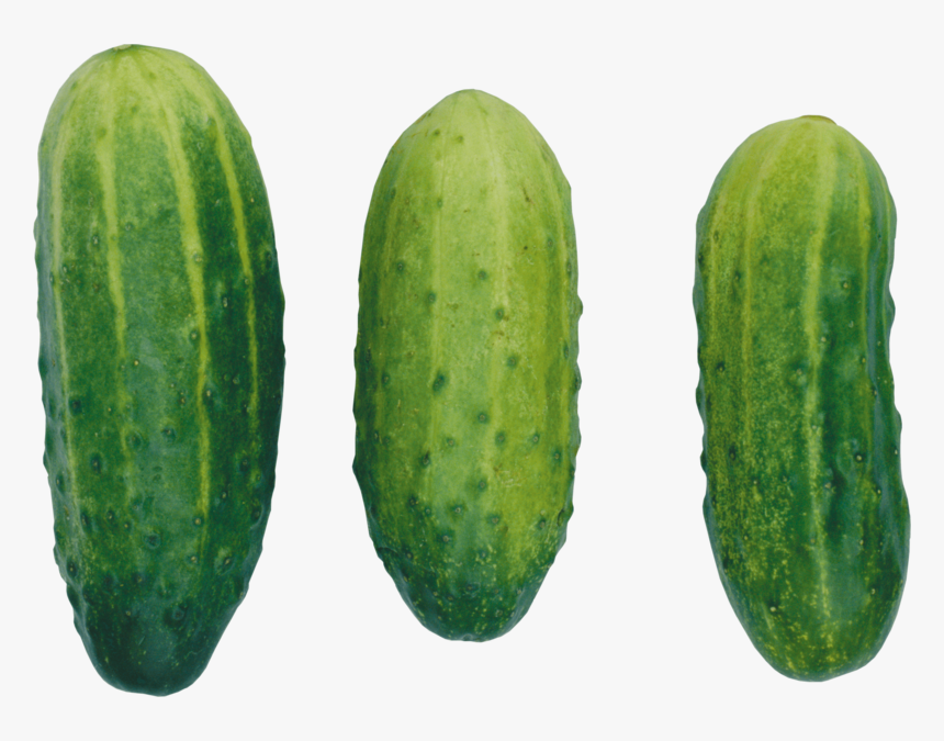 Cucumbers Png Image - Cucumber Clipart, Transparent Png, Free Download