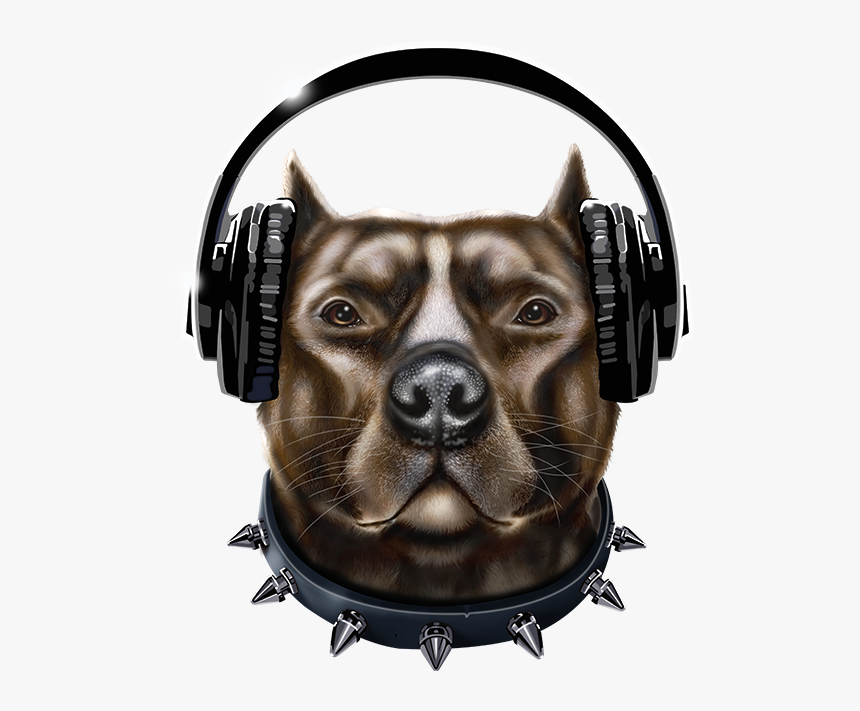 Transparent Pitbull Head Png - Pitbull With Headphones, Png Download, Free Download