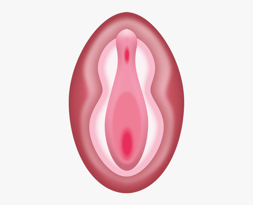 Vagina Download