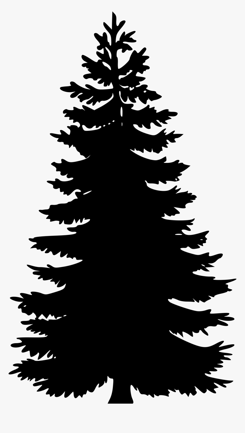 Vector Pine Tree Png, Transparent Png, Free Download