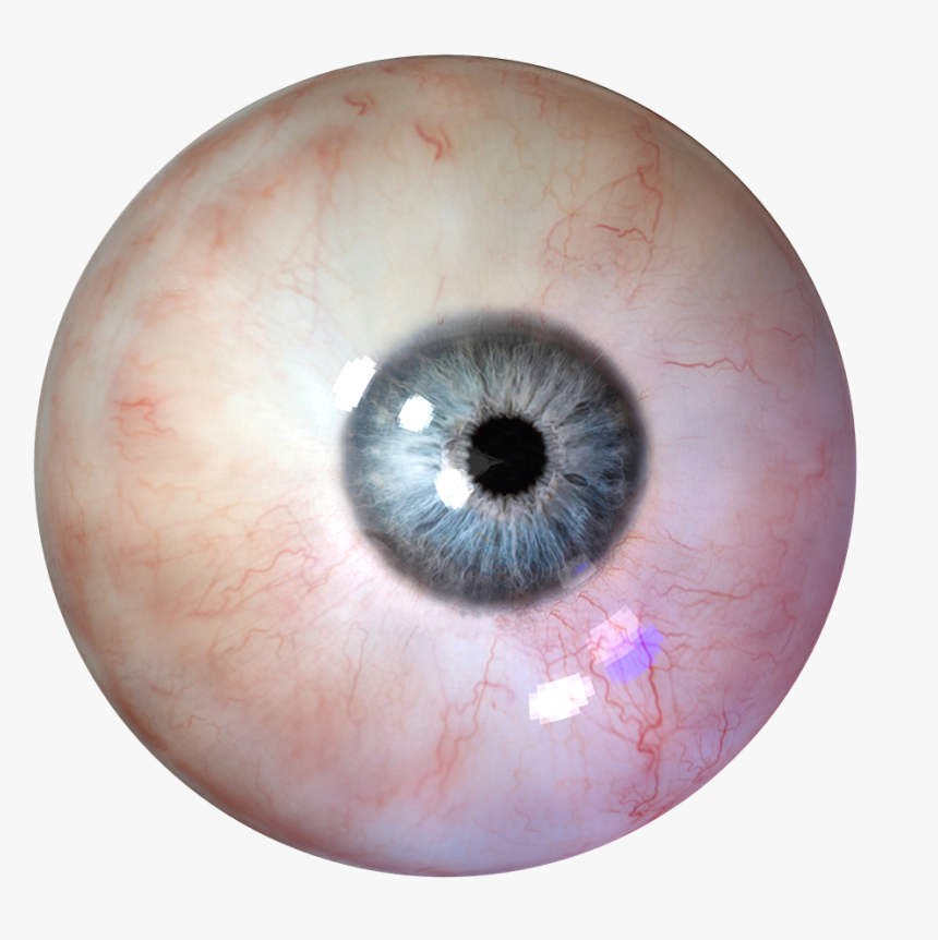 Eyeball Png, Transparent Png, Free Download