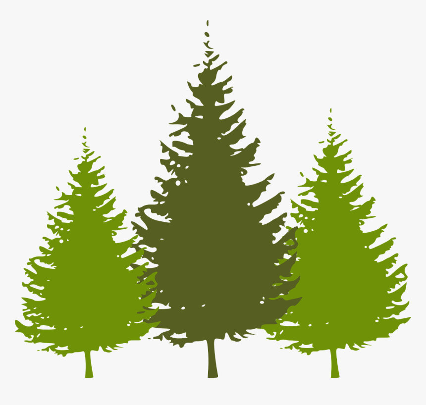 Pine Tree Silhouette Png, Transparent Png, Free Download