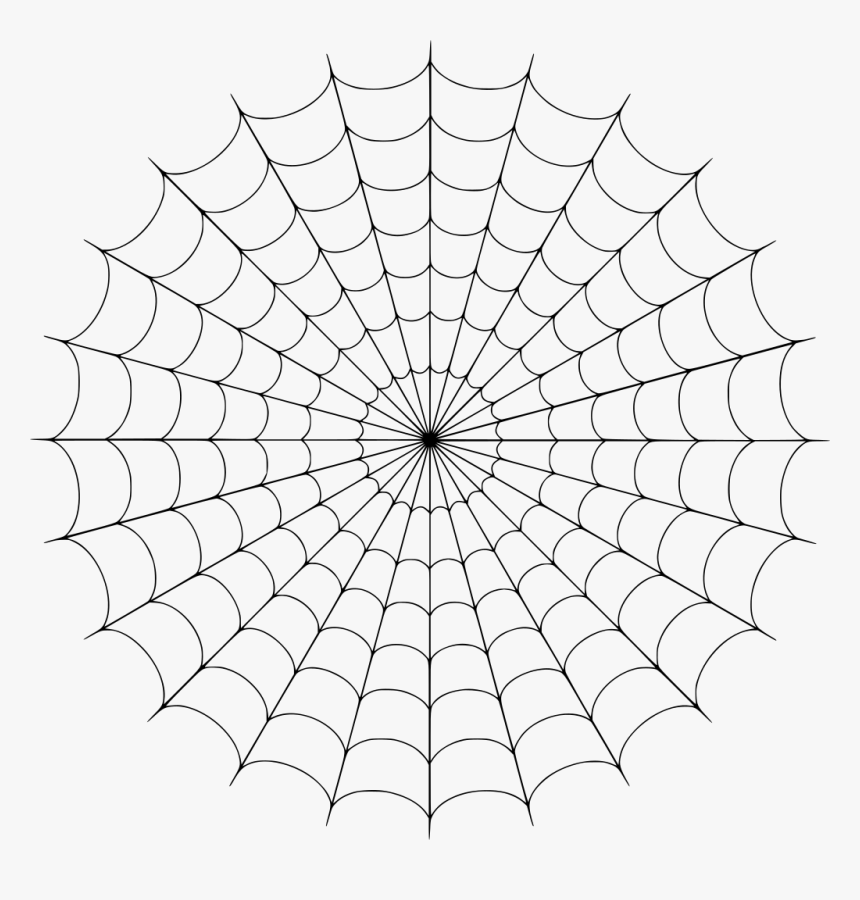 Transparent Spiderman Web Png, Png Download - kindpng