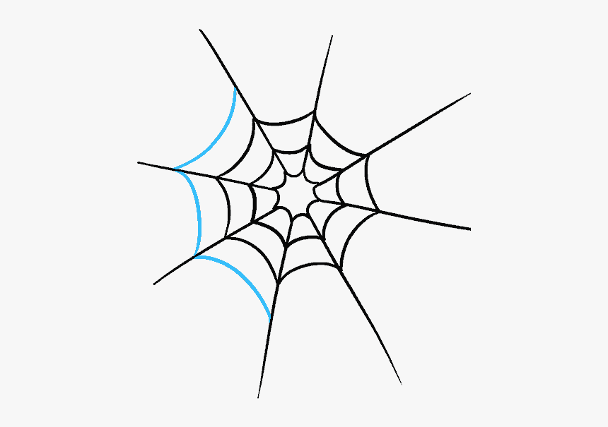 How To Draw How To Draw A Spider Web With Spider In - Draw A Spider Web Easy, HD Png Download, Free Download