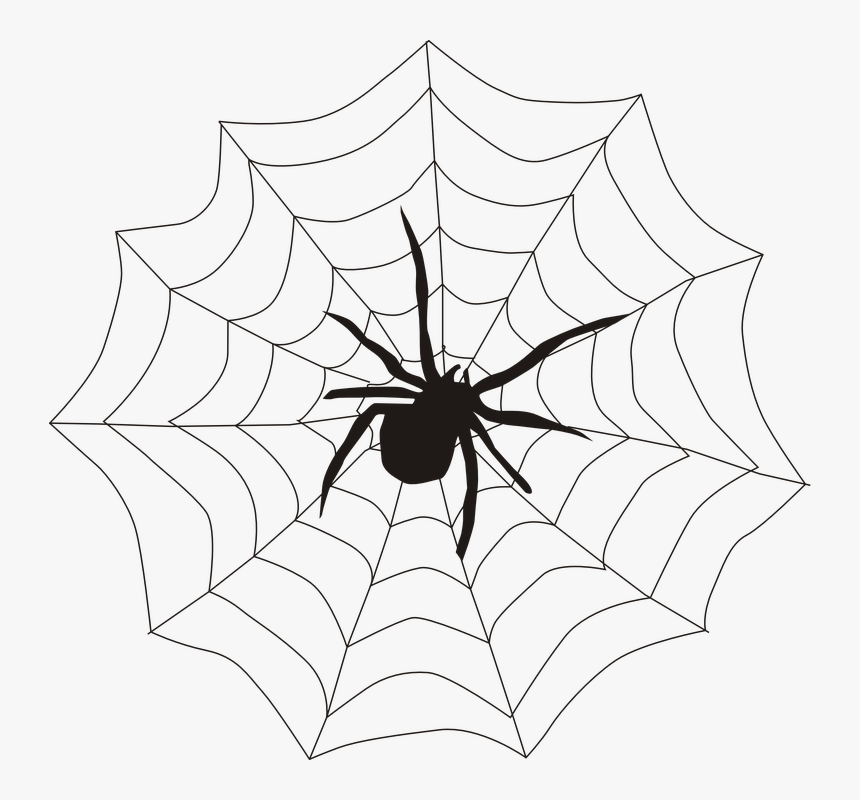 Spider, Spider"s Web, Spiderweb, Cobweb, Creepy - Spider On A Web Clipart, HD Png Download, Free Download