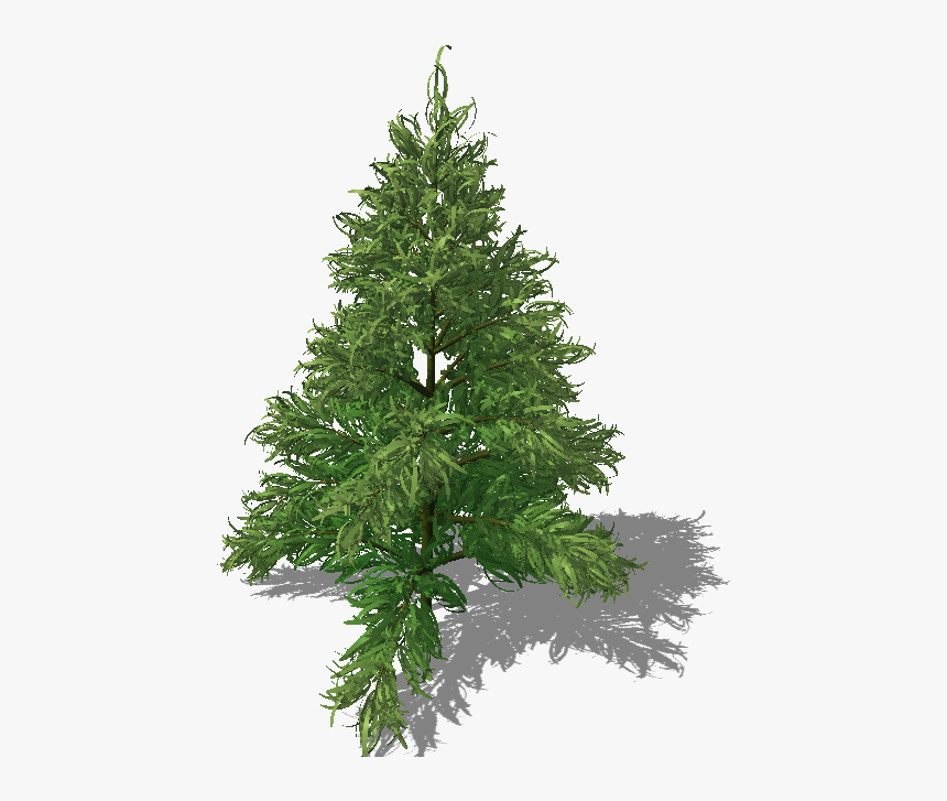 Christmas Tree, HD Png Download, Free Download