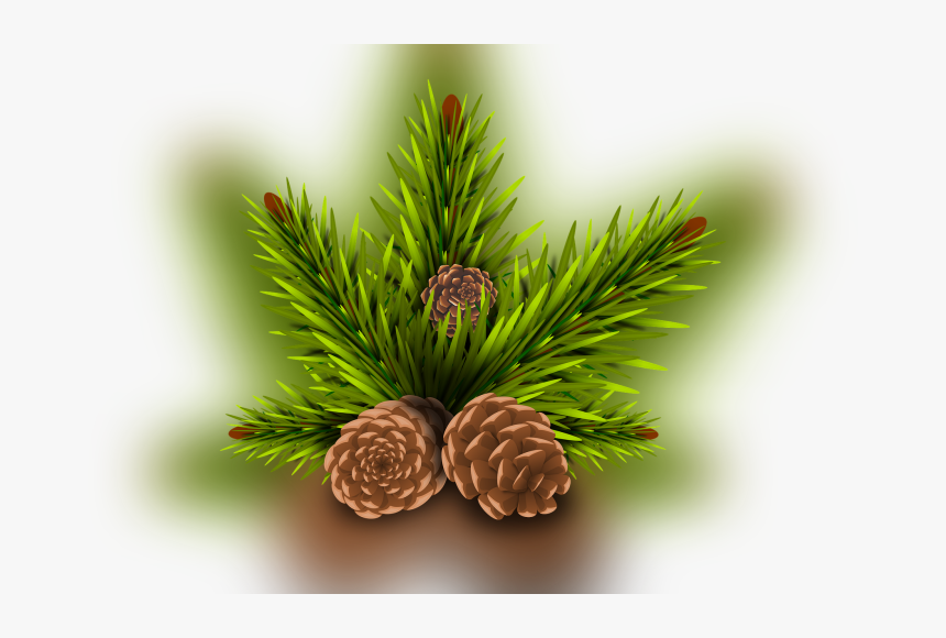 Conifer Cone, HD Png Download, Free Download