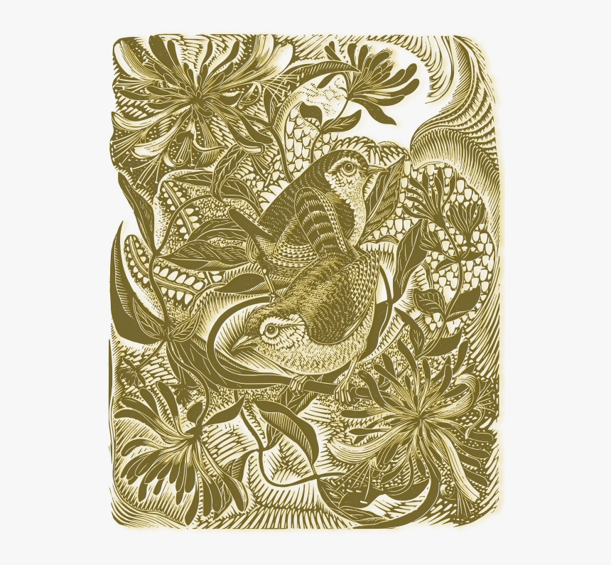 Wood Engraving, HD Png Download, Free Download