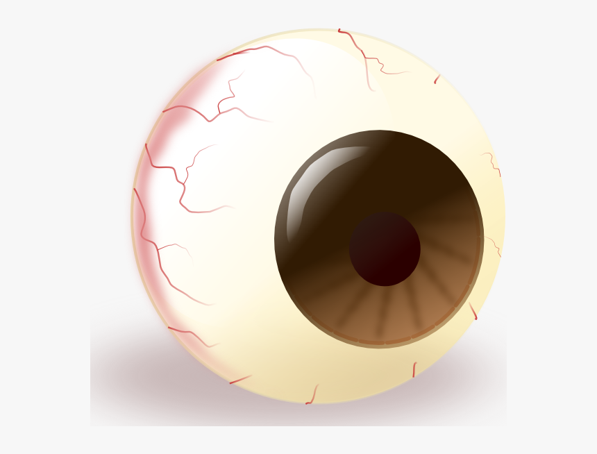 Ecuabron Brown Eye Svg Clip Arts - Gambar Bola Mata Animasi, HD Png Download, Free Download