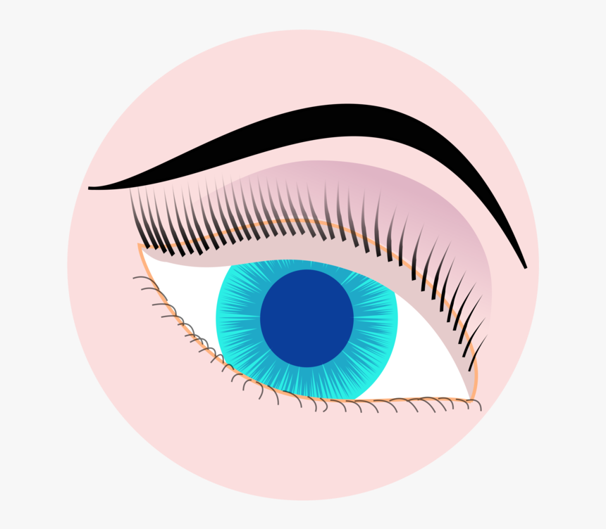 Iris,close Up,eye - Transparent Background Human Eye Transparent Background, HD Png Download, Free Download