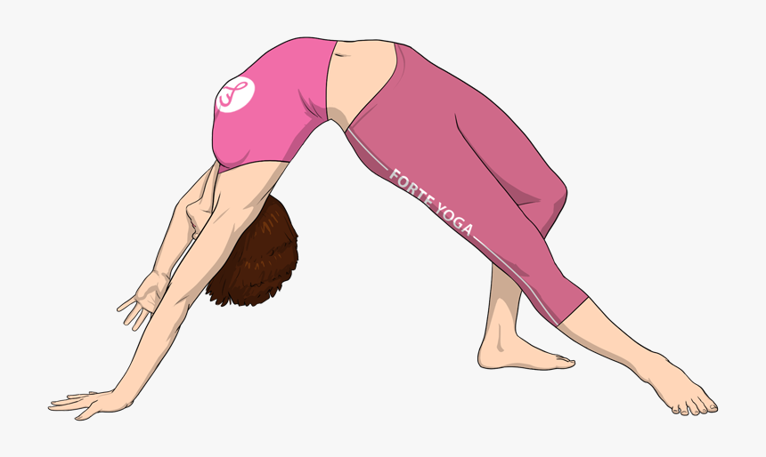 Wild Thing Yoga Pose Geometry Of Yoga - Yoga Related To Math, HD Png Download, Free Download