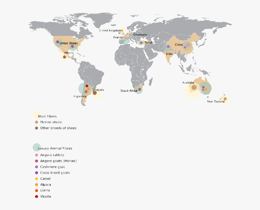 Worldmapsanimals3i - Low Income And High Income Countries, HD Png Download, Free Download