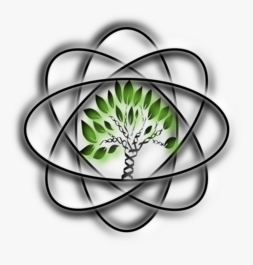 Cbds Tree Logo - Mandalas Faciles De Hacer, HD Png Download, Free Download
