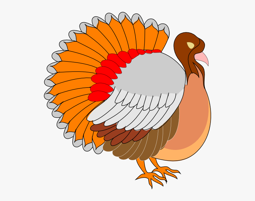 Cartoon Turkey Svg Clip Arts - Side View Cartoon Turkey, HD Png Download, Free Download