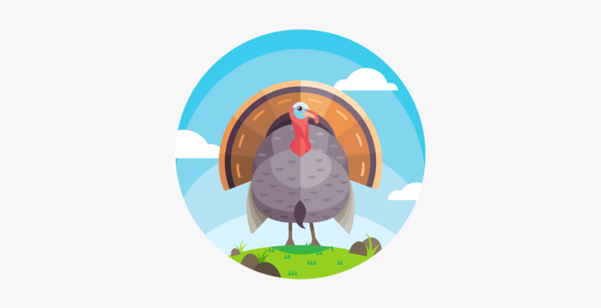 Wild-turkey - Illustration, HD Png Download, Free Download