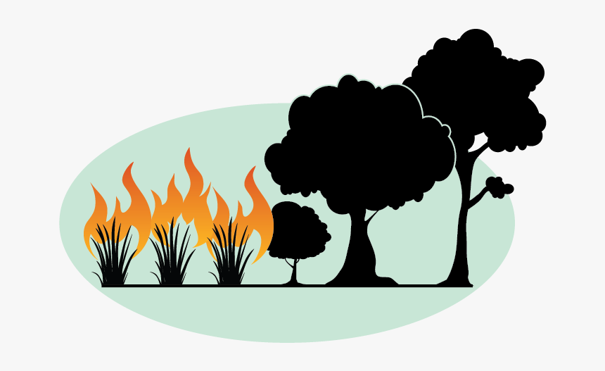 Fire Graphic Png, Transparent Png, Free Download