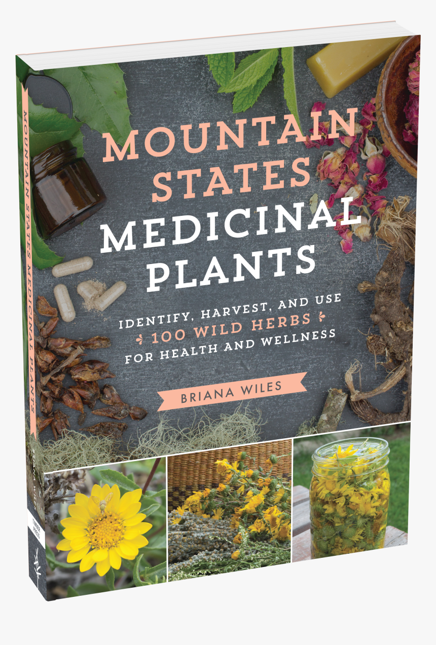 Medicinal Plants - Plant Identification And Wildcrafting Books, HD Png Download, Free Download