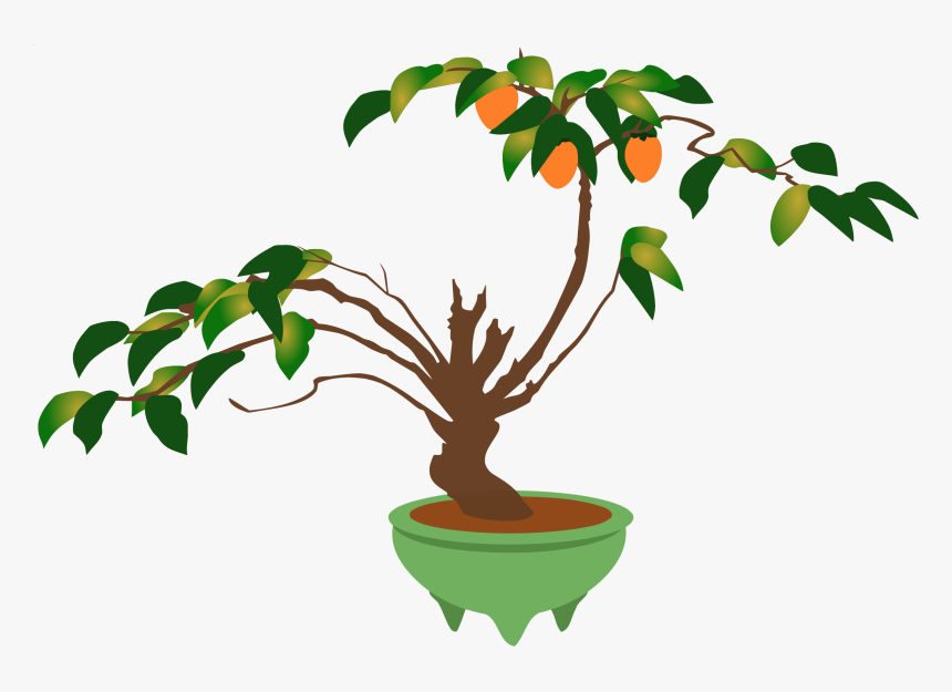 Branch Bonsai Flowerpot Ornamental Plant Houseplant - Bonsai, HD Png Download, Free Download