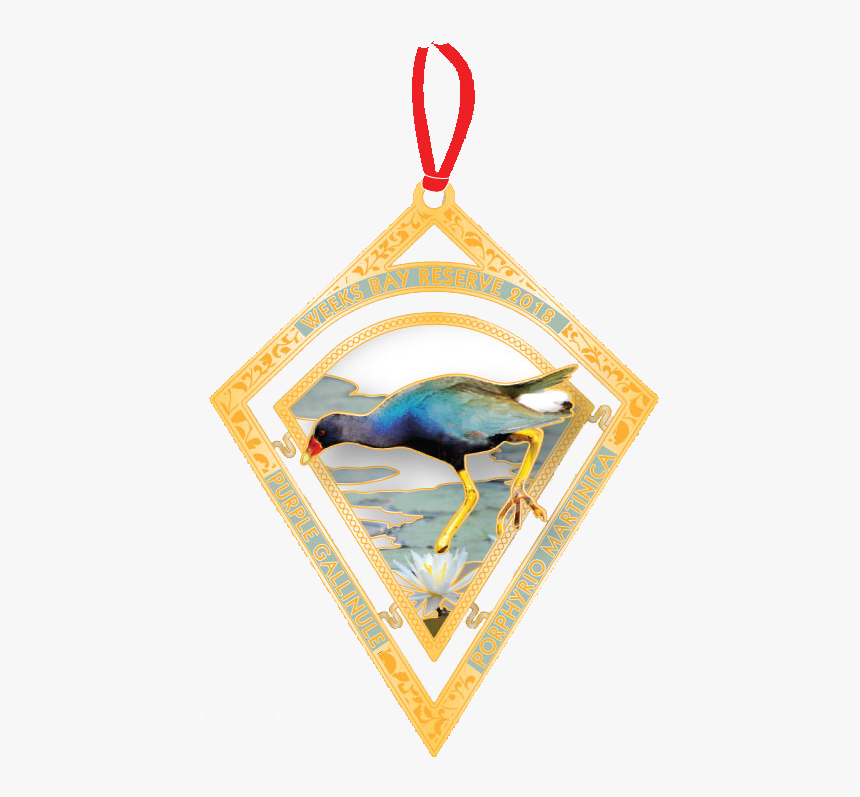 2018 Ornament - Beak, HD Png Download, Free Download