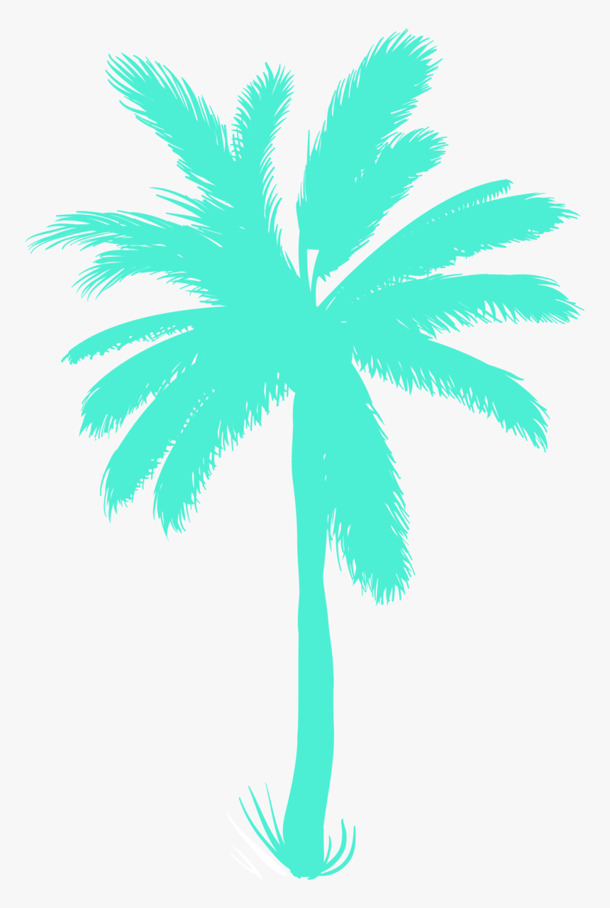 Transparent Coconut Bra Clipart - Palm Trees, HD Png Download, Free Download