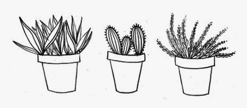 Drawing Cactus Aesthetic Transparent Png Clipart Free - Aesthetic Cactus Black And White, Png Download, Free Download