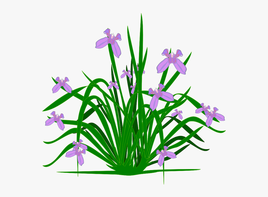 Lavender Clipart Indigo Plant - Flower Small Plants Png, Transparent Png, Free Download