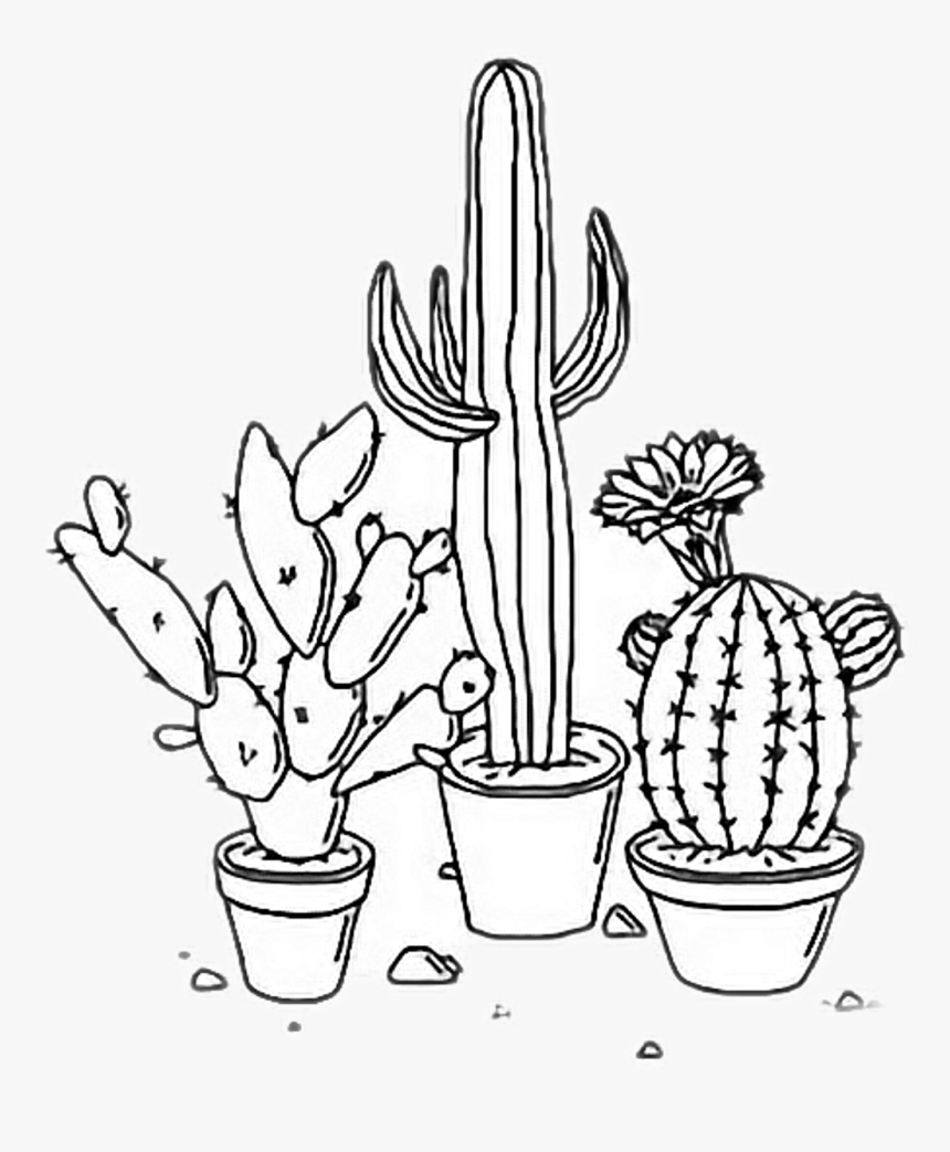 Cactus Aesthetic Plants Tumblr Outline Freetoedit Rh - Transparent White Ae...