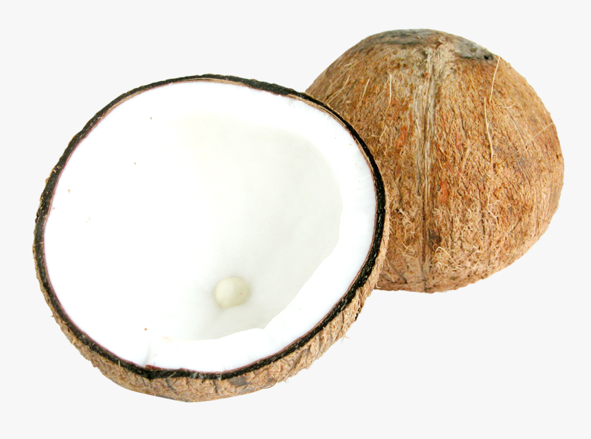Two Half Coconuts Png - Half Coconut Png, Transparent Png, Free Download