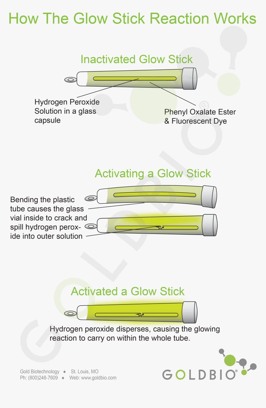 Glow Stick Science - Glow Stick Mechanism, HD Png Download, Free Download