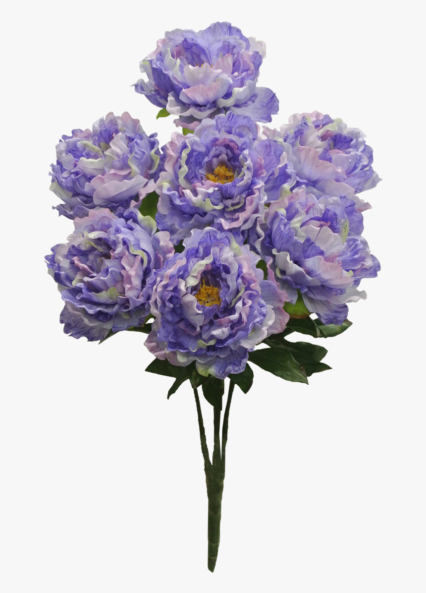 Lavender Bush Png, Transparent Png, Free Download