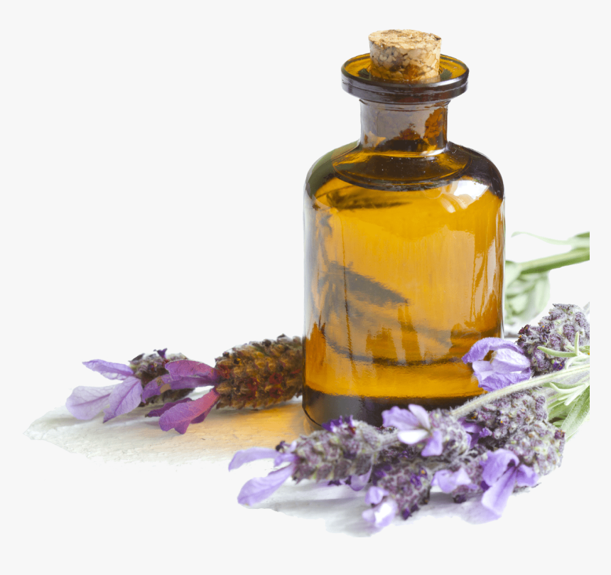 English-lavender - Lavender Essential Oil Png, Transparent Png, Free Download