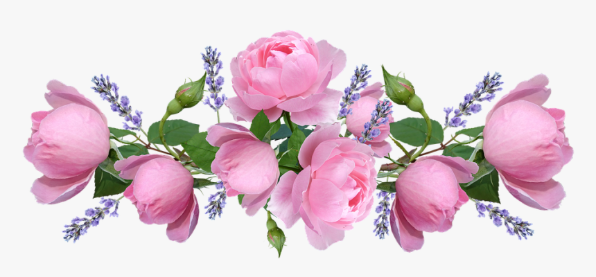 Roses, Pink, Flowers, Lavender, Arrangement - Lavender Roses Png, Transparent Png, Free Download