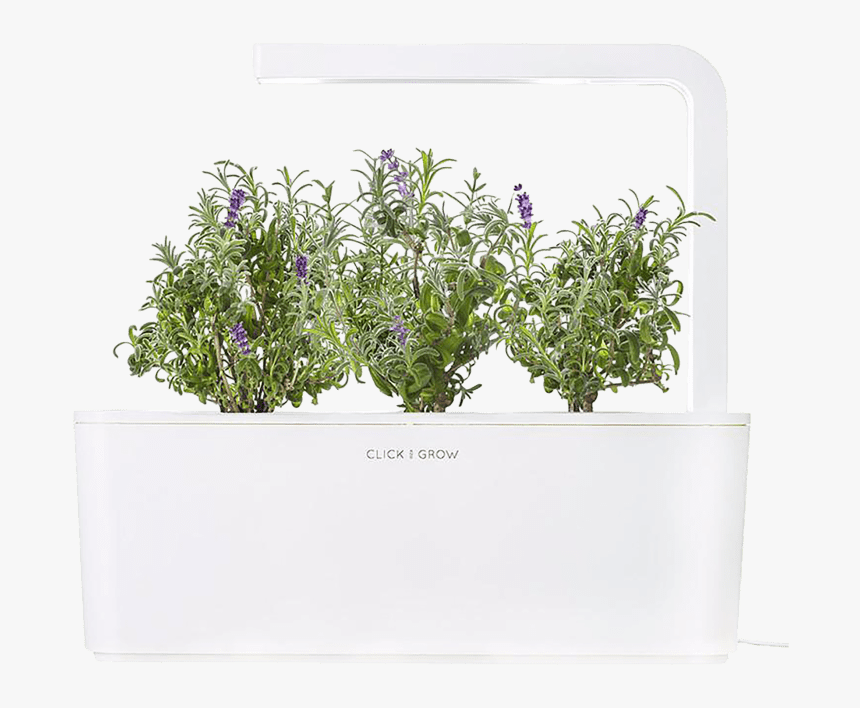 Click And Grow Smart Garden Lavender, HD Png Download, Free Download