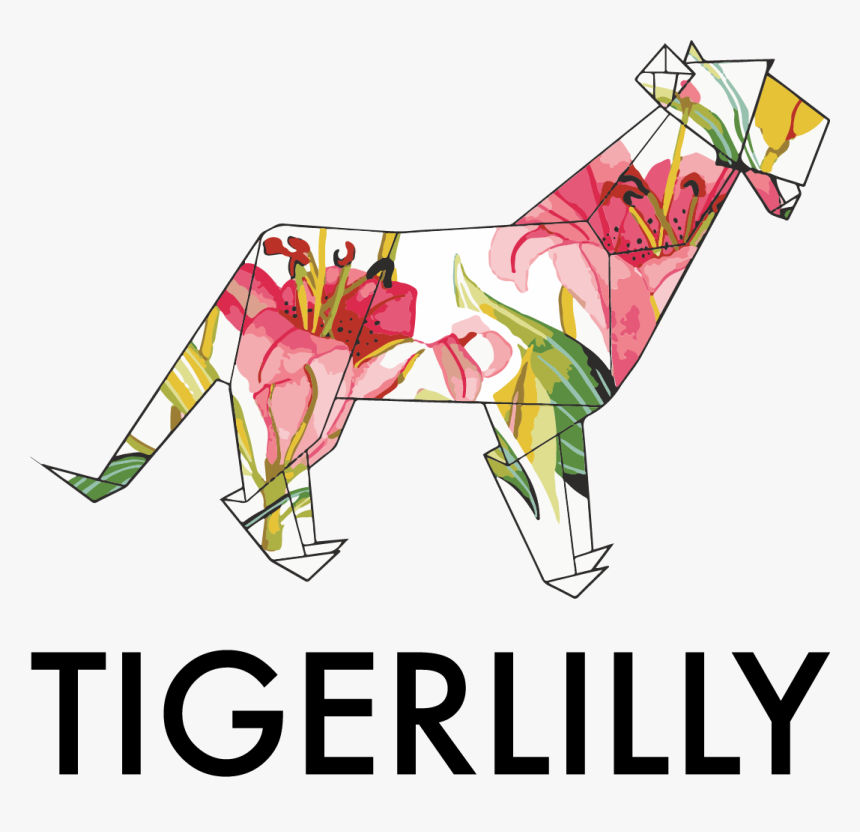 Tigerlilly Dancewear, HD Png Download, Free Download