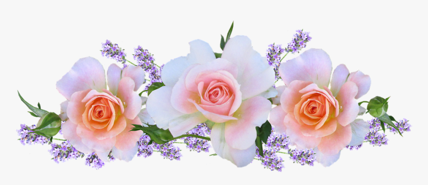 Roses, Pink, Arrangement, With Lavender - Lavender With Roses Petals Hd, HD Png Download, Free Download