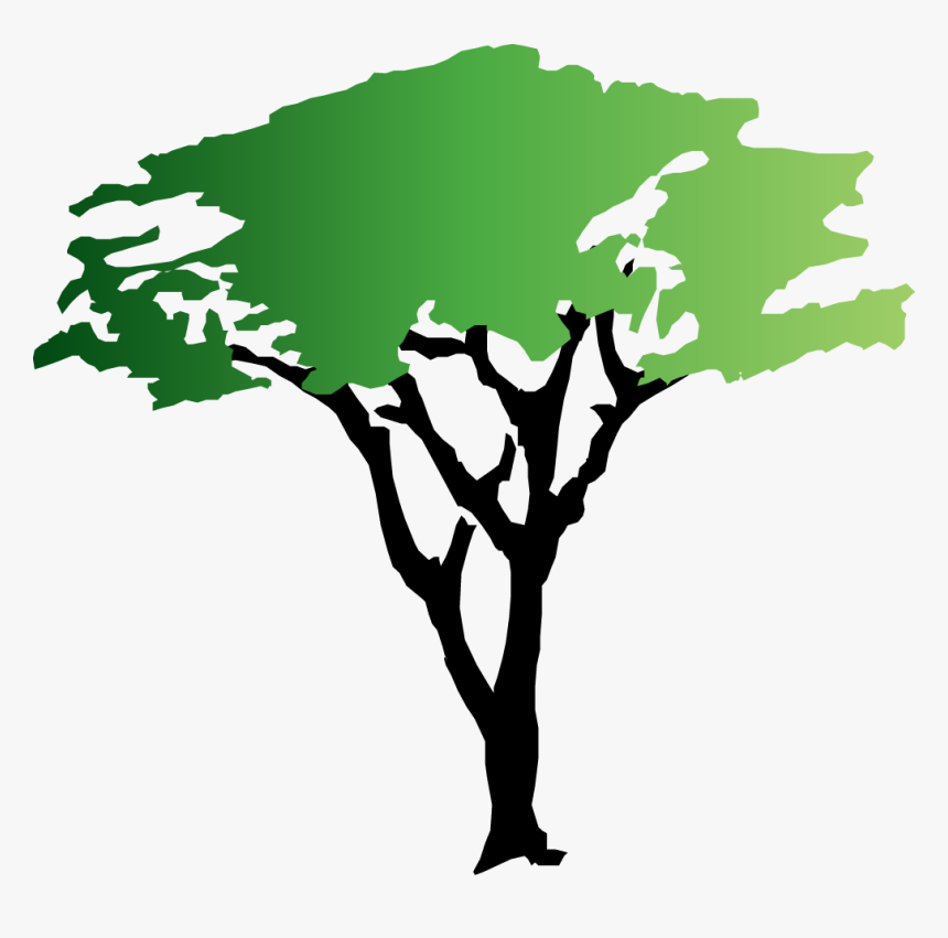 Transparent Tree Of Life Vector Png - Free Acacia Tree Clipart, Png Download, Free Download