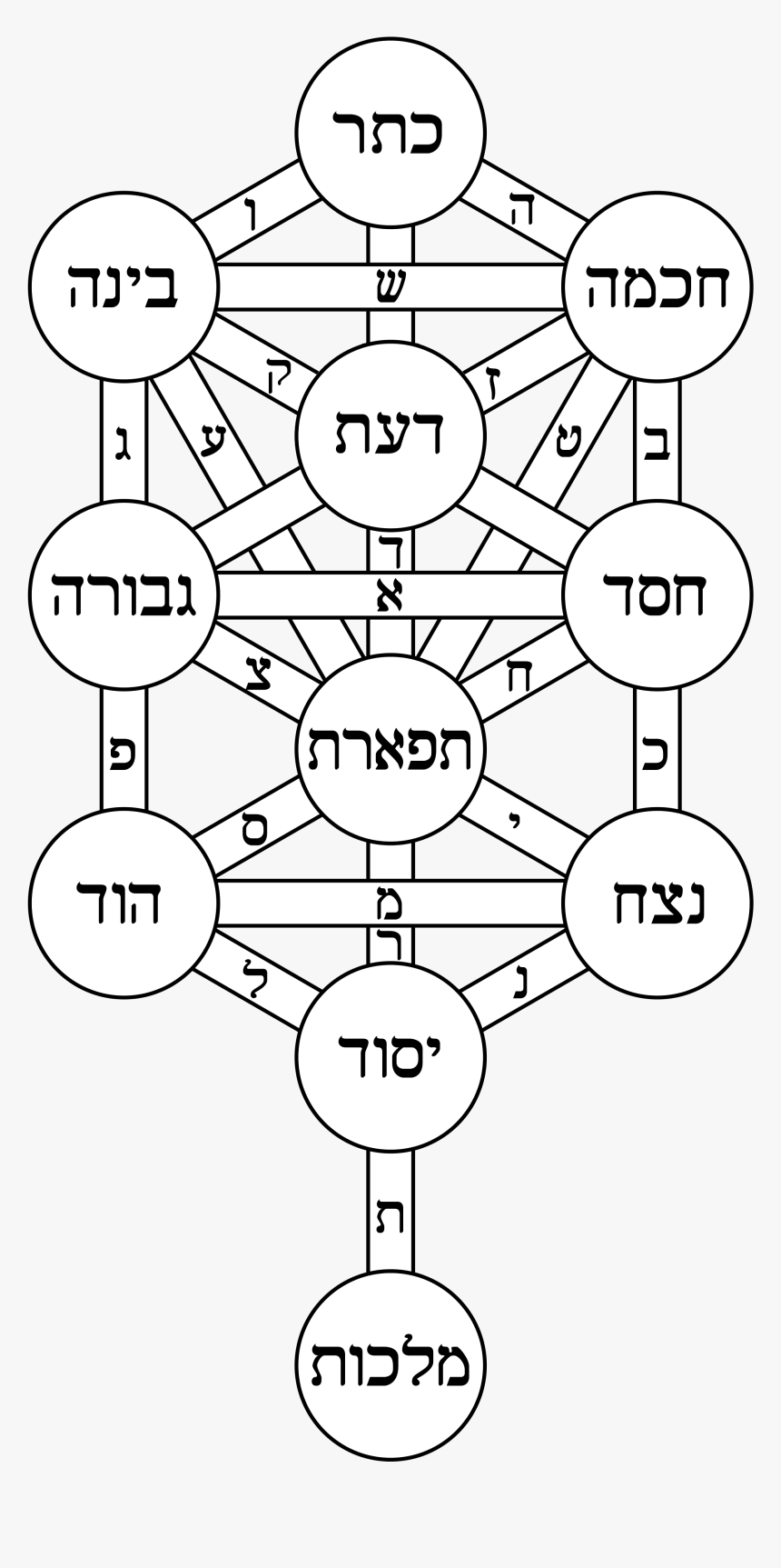 Transparent Tree Of Life Vector Png - Kabbalah Tree Of Life Sacred Geometry, Png Download, Free Download