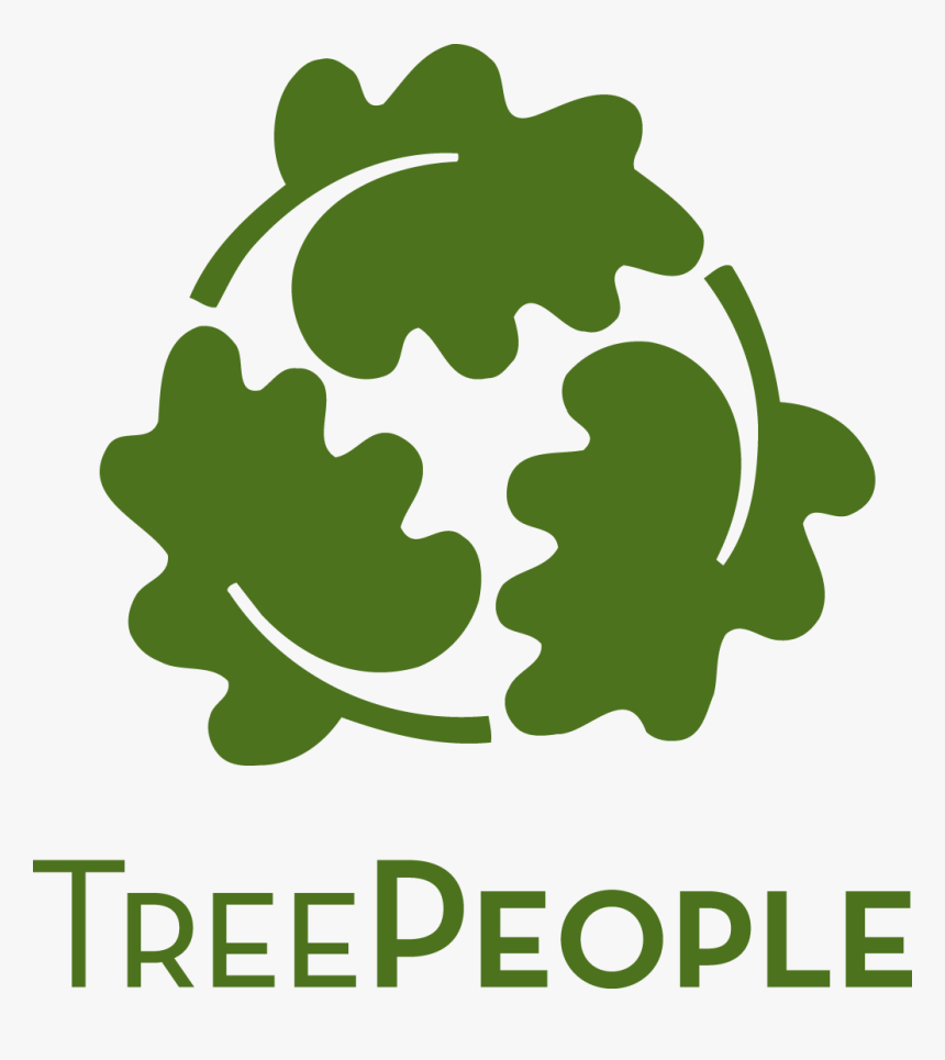 Tree People Non Profit - Tree People Organization, HD Png Download, Free Download