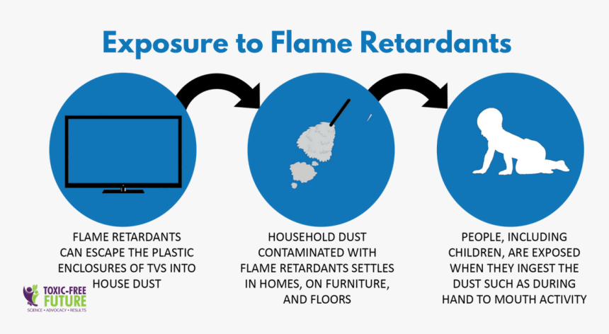 People Exposed To Flame Retardants, HD Png Download, Free Download