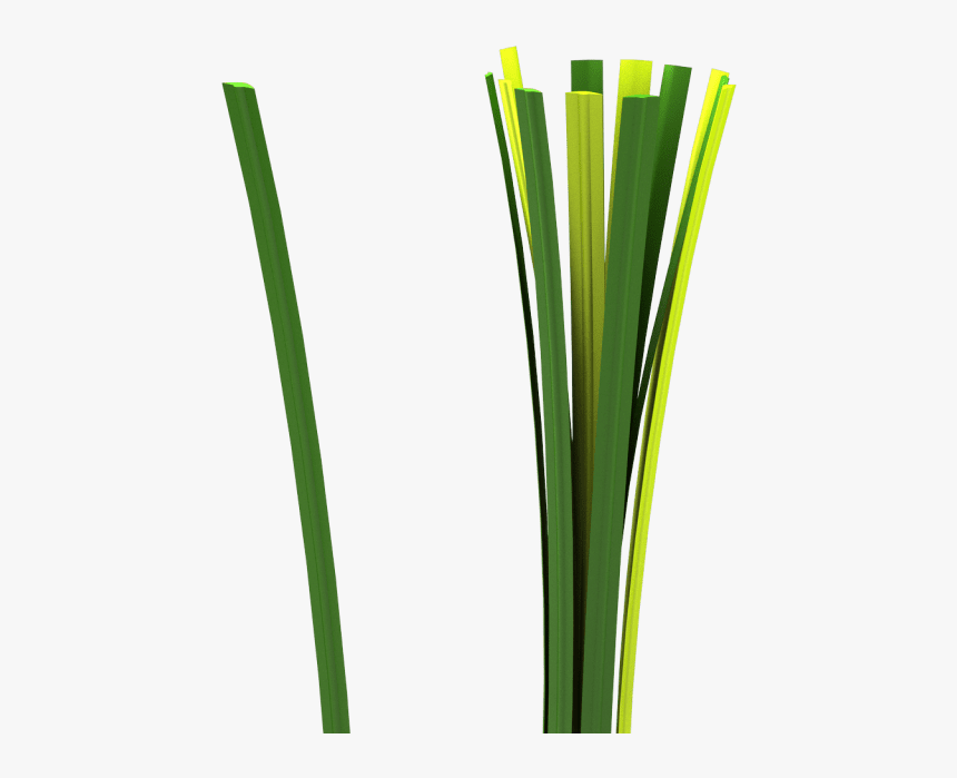 Grass, HD Png Download, Free Download