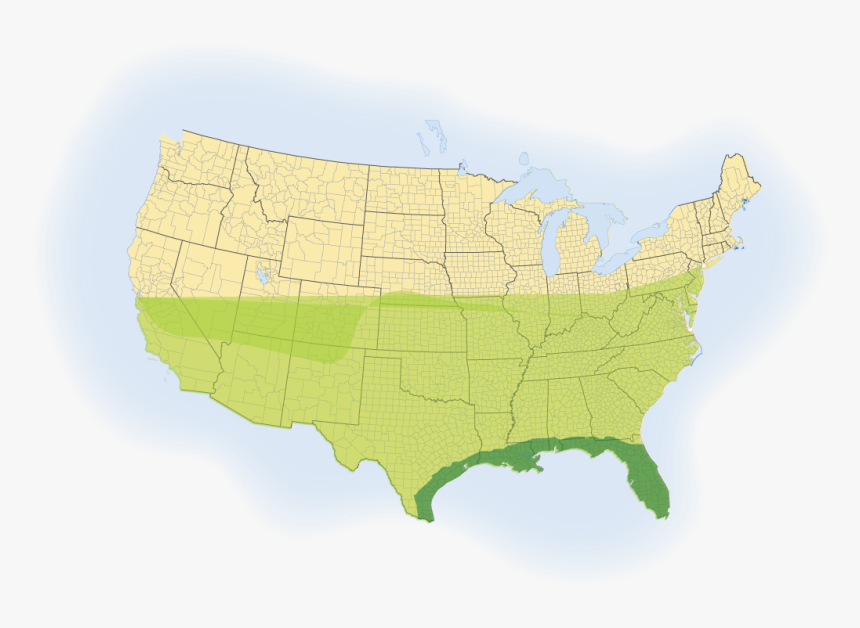 Innovation Sod Map - Atlas, HD Png Download, Free Download