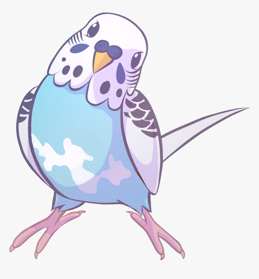 Featured image of post How To Draw A Budgie Like us each bird has it s own unique personality