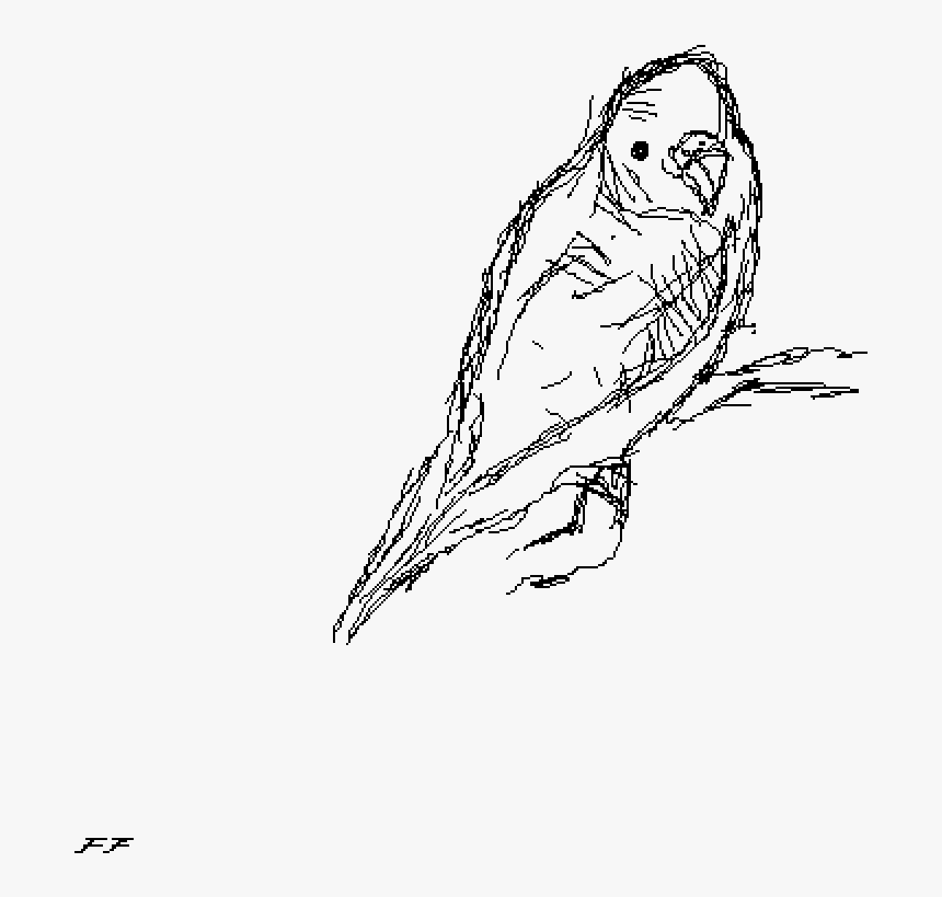 Screech Owl, HD Png Download, Free Download