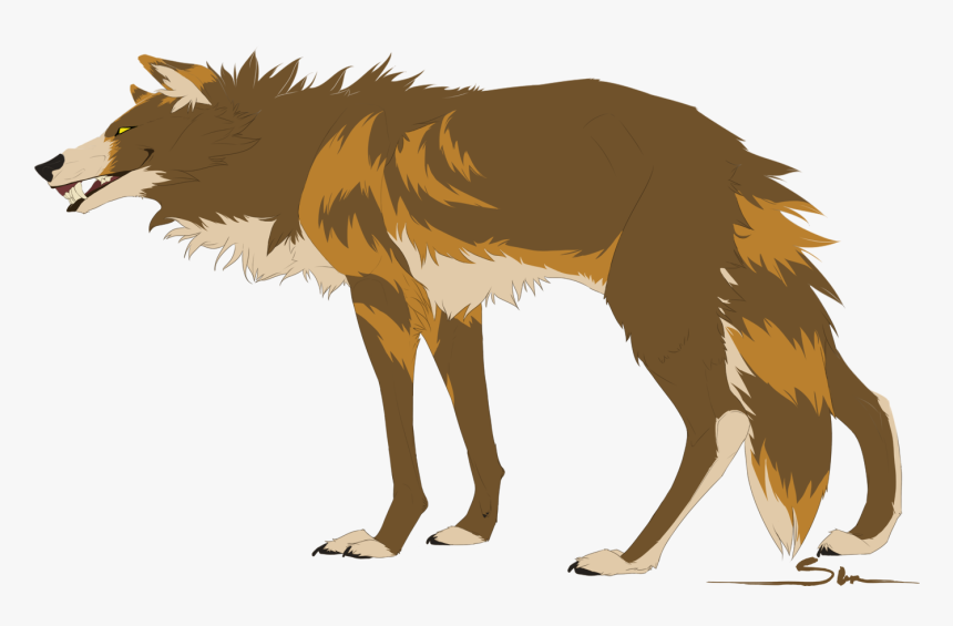 Fox Gray Wolf Red Wolf - Brown Wolf Drawing, HD Png Download, Free Download